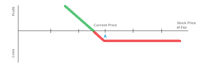 Long At-the-Money Put Sample Diagram